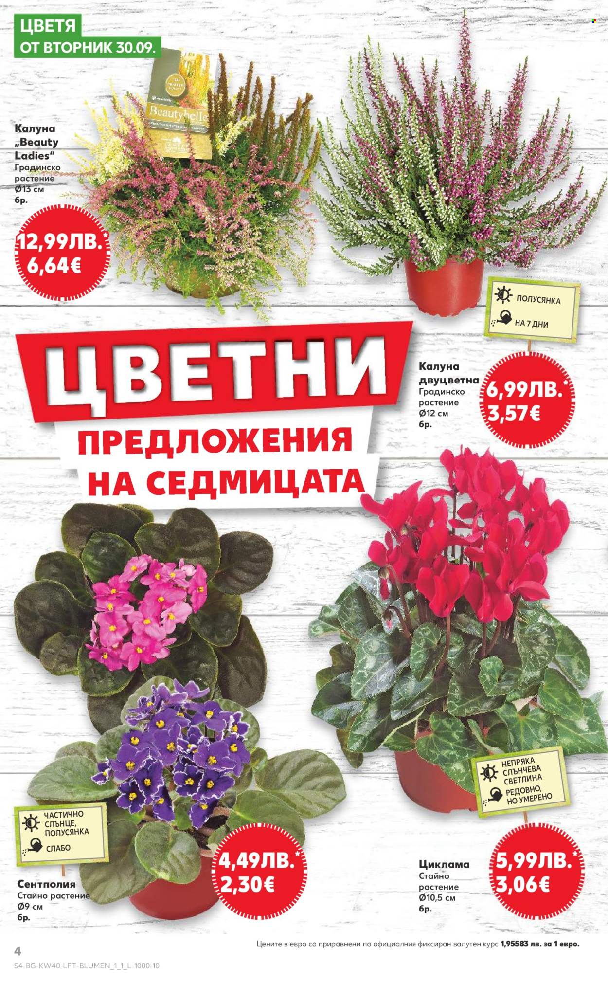 Брошура на Кауфланд - 29.09.2025 - 05.10.2025. Страница 4