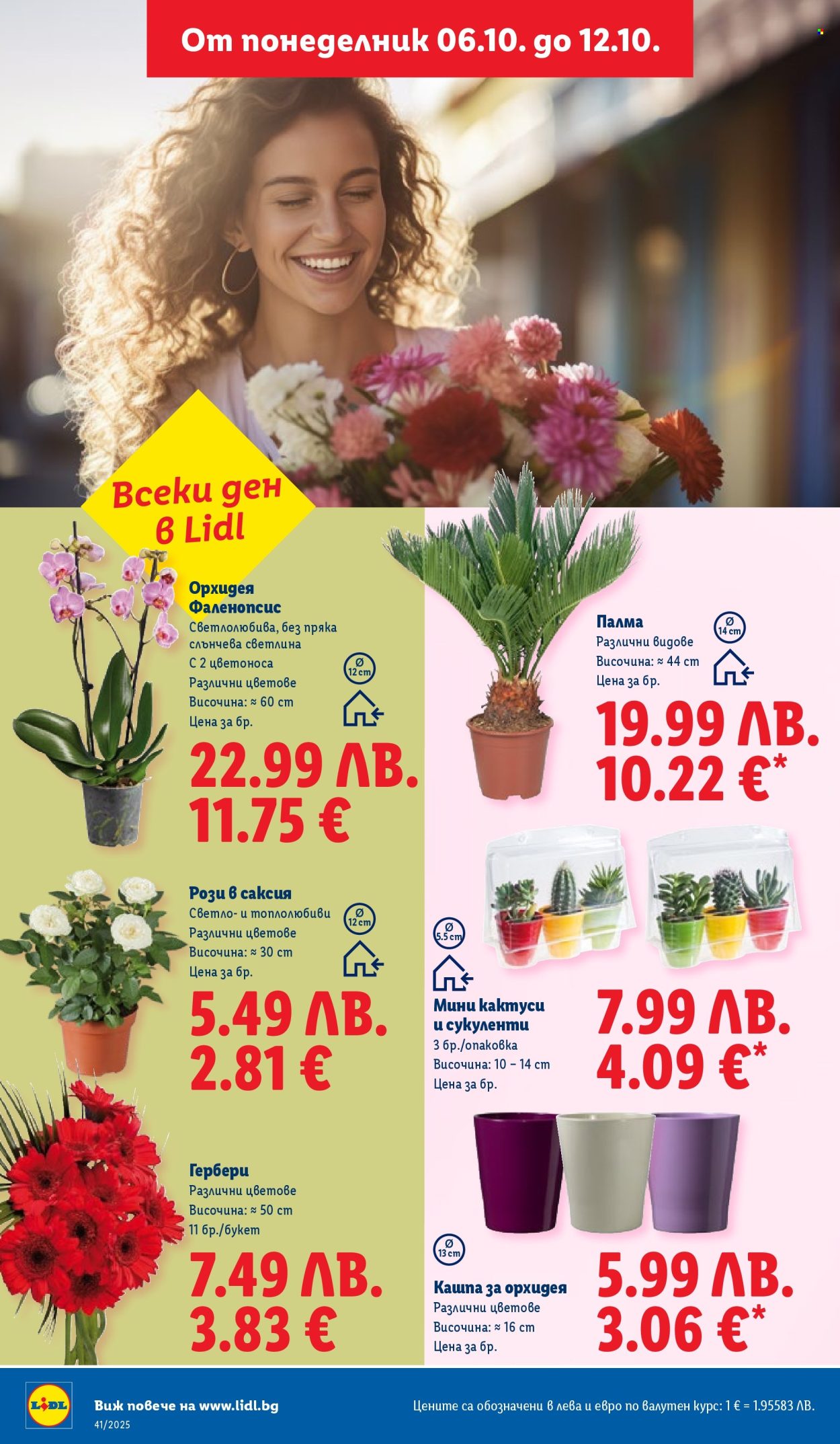 Брошура на Лидл - 06.10.2025 - 12.10.2025. Страница 46
