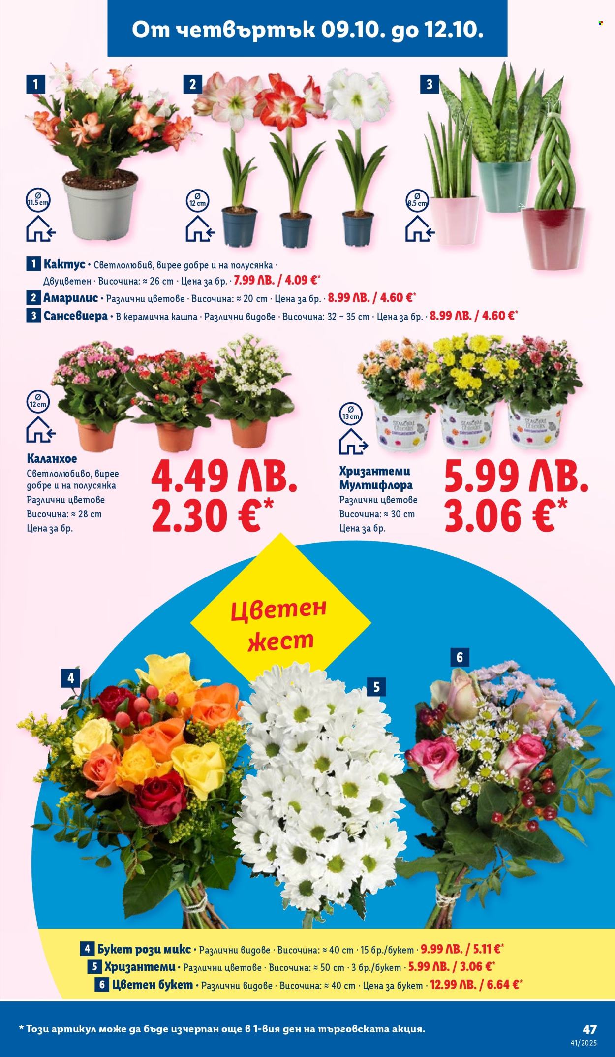 Брошура на Лидл - 06.10.2025 - 12.10.2025. Страница 47
