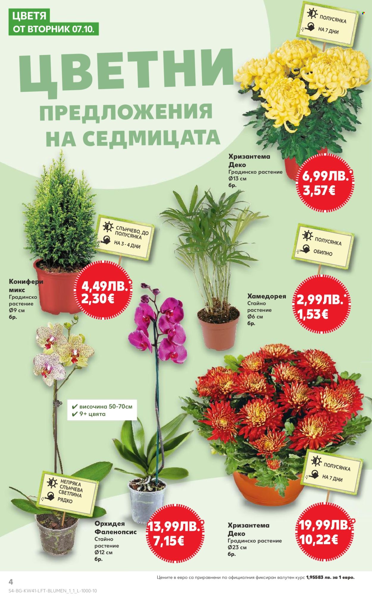 Брошура на Кауфланд - 06.10.2025 - 12.10.2025. Страница 4