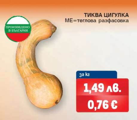 Тиква цигулка