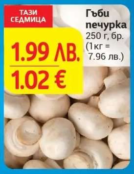 Гъби печурка