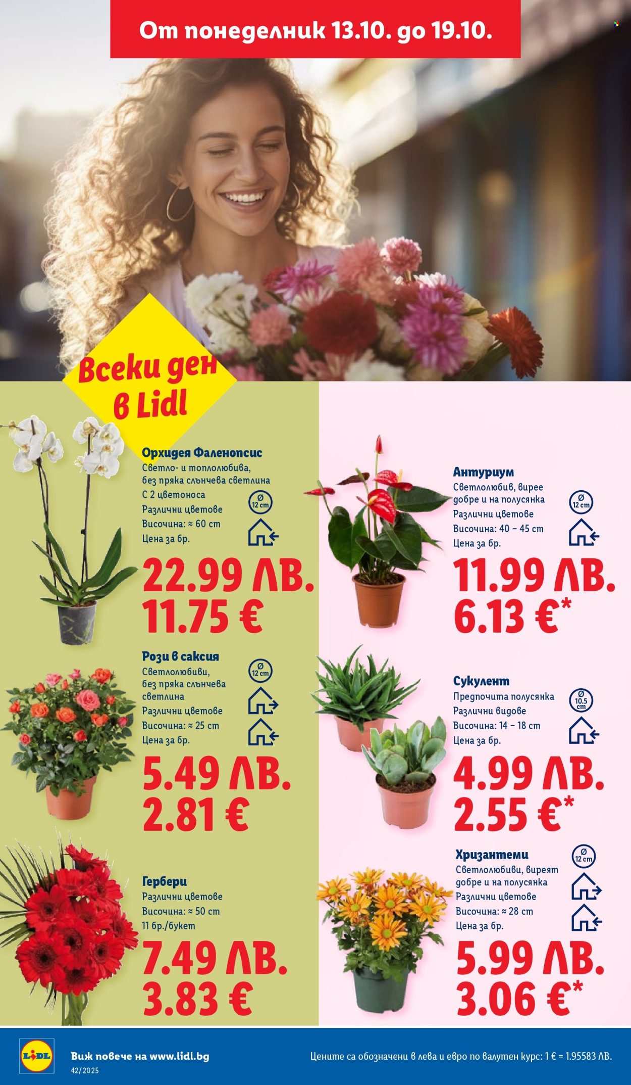 Брошура на Лидл - 13.10.2025 - 19.10.2025. Страница 48