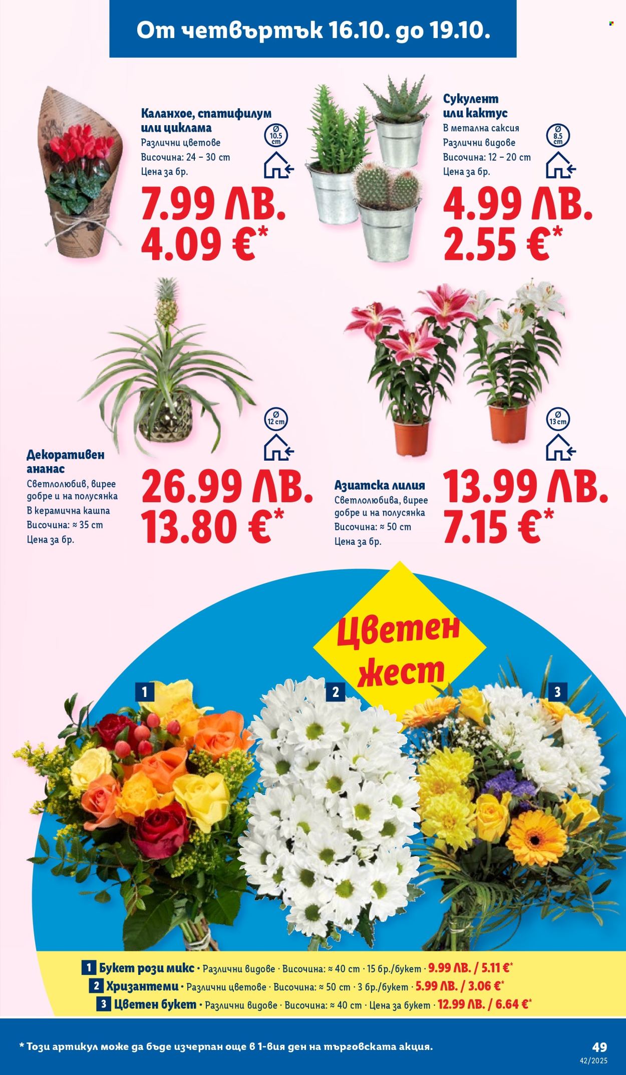 Брошура на Лидл - 13.10.2025 - 19.10.2025. Страница 49