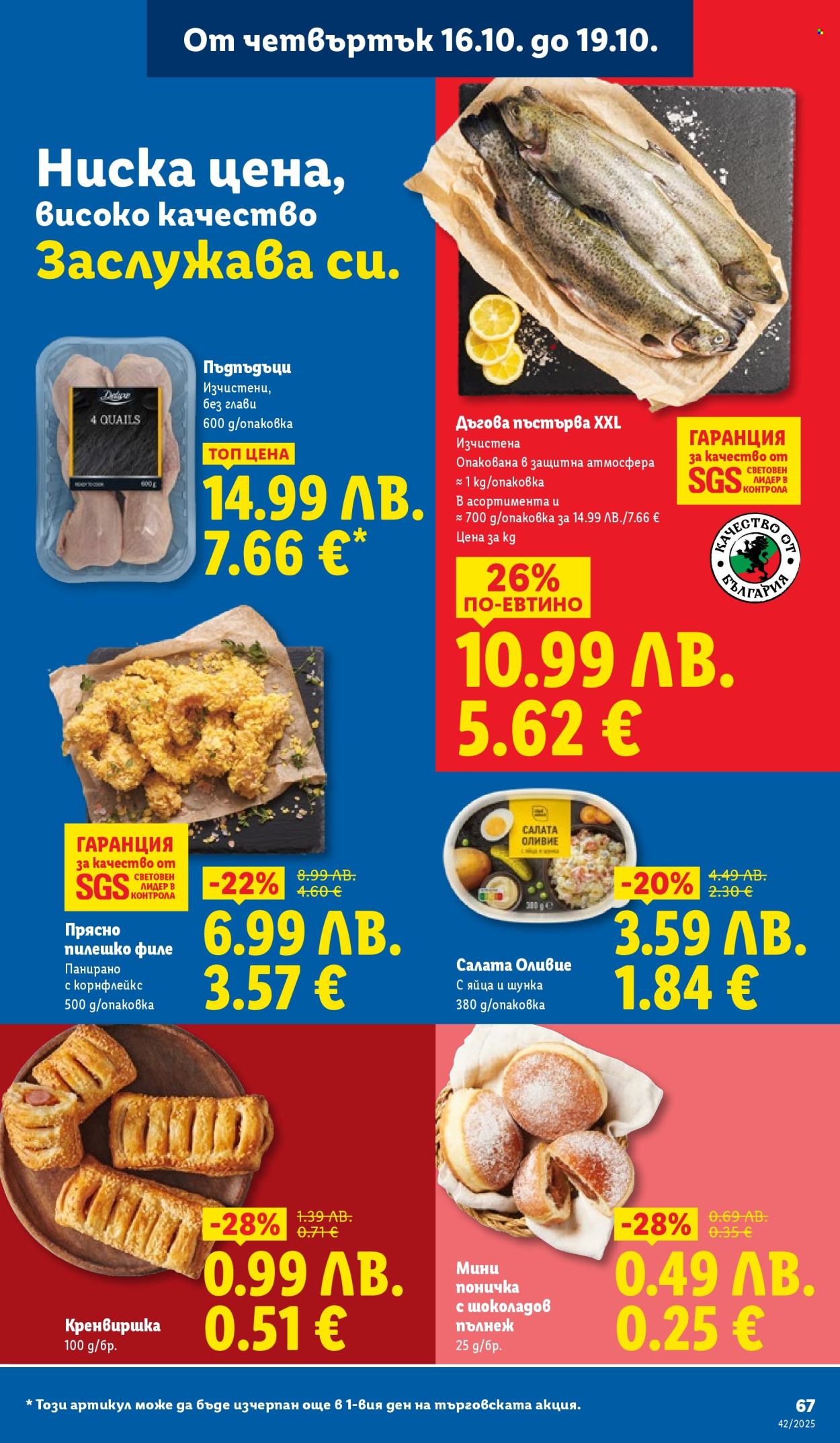 Брошура на Лидл - 13.10.2025 - 19.10.2025. Страница 67
