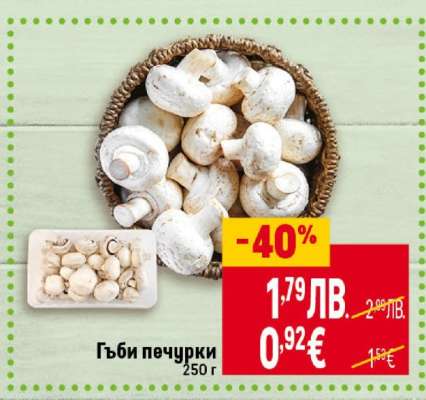 Гъби печурки