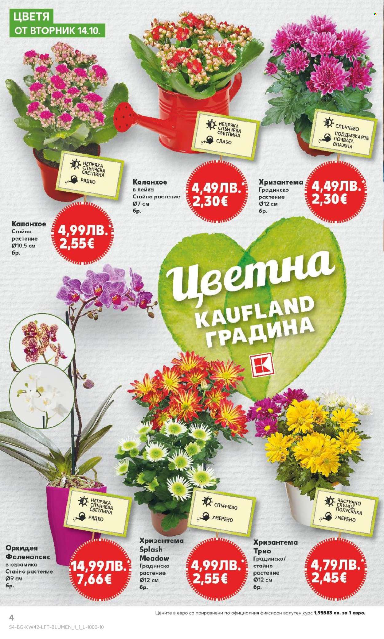 Брошура на Кауфланд - 13.10.2025 - 19.10.2025. Страница 4