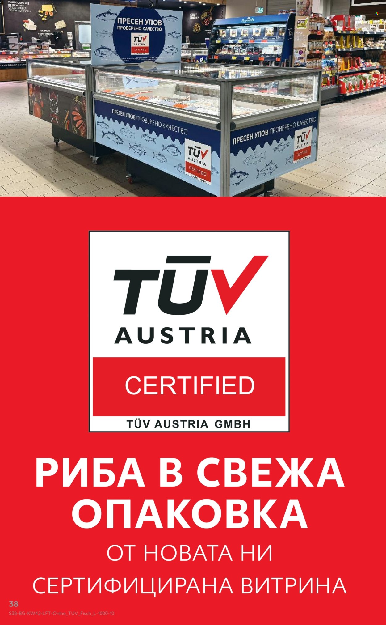 Брошура на Кауфланд - 13.10.2025 - 19.10.2025. Страница 38