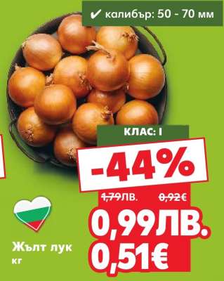 Жълт лук