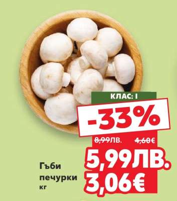 Гъби печурки