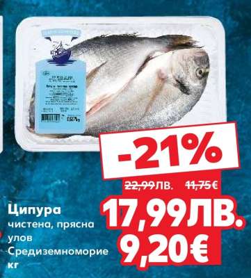 Ципура