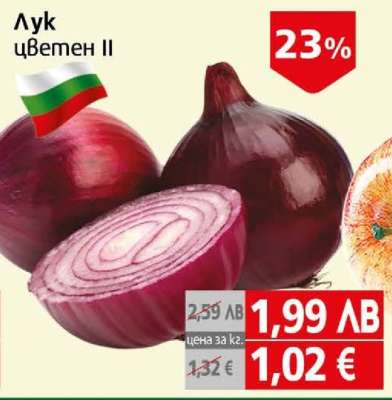 Лук цветен II