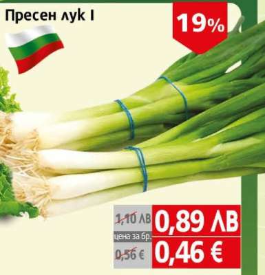 Пресен лук I