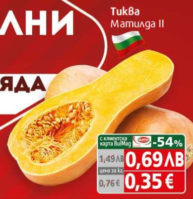 Тиква Матилда II