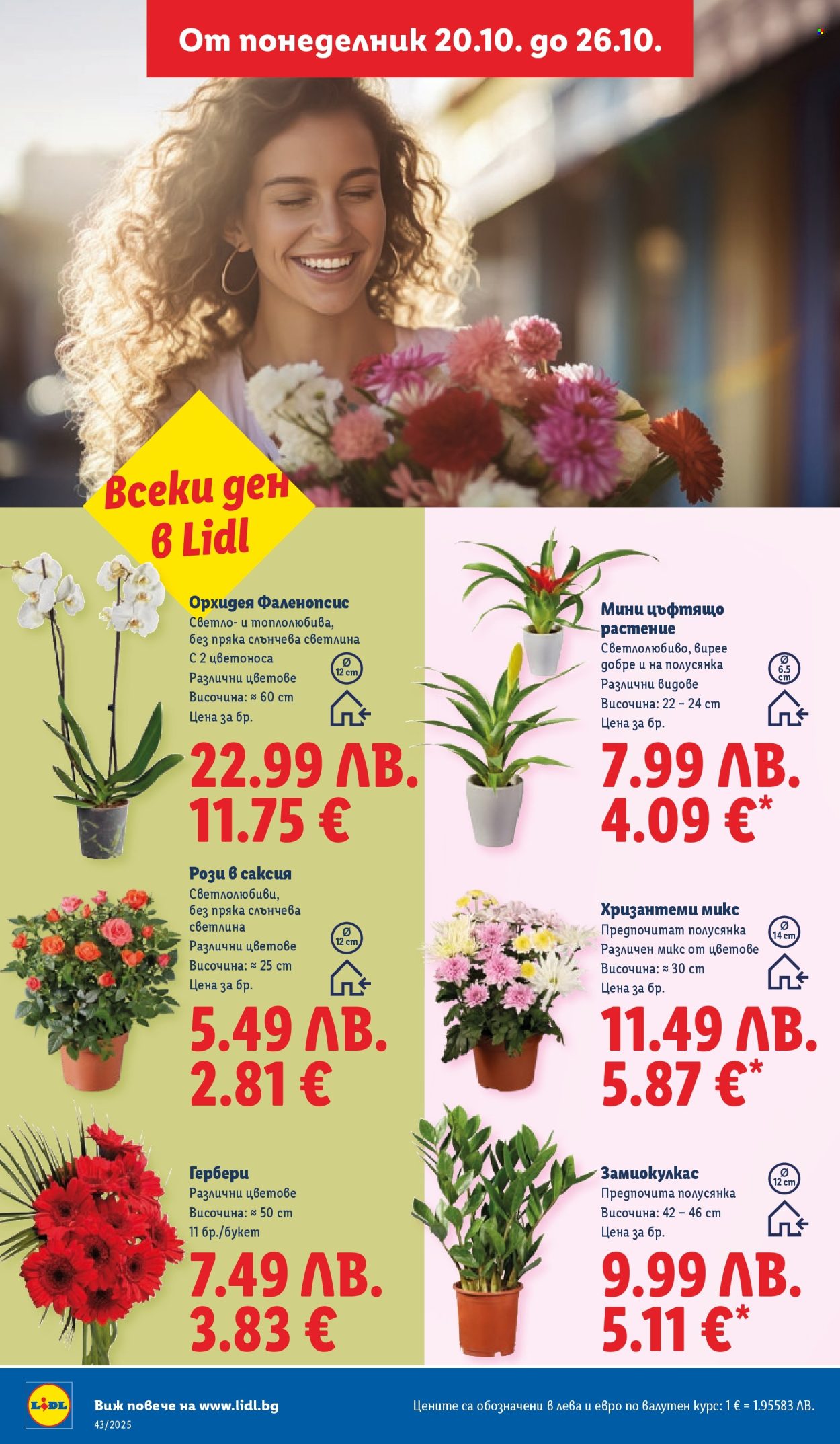 Брошура на Лидл - 20.10.2025 - 26.10.2025. Страница 52