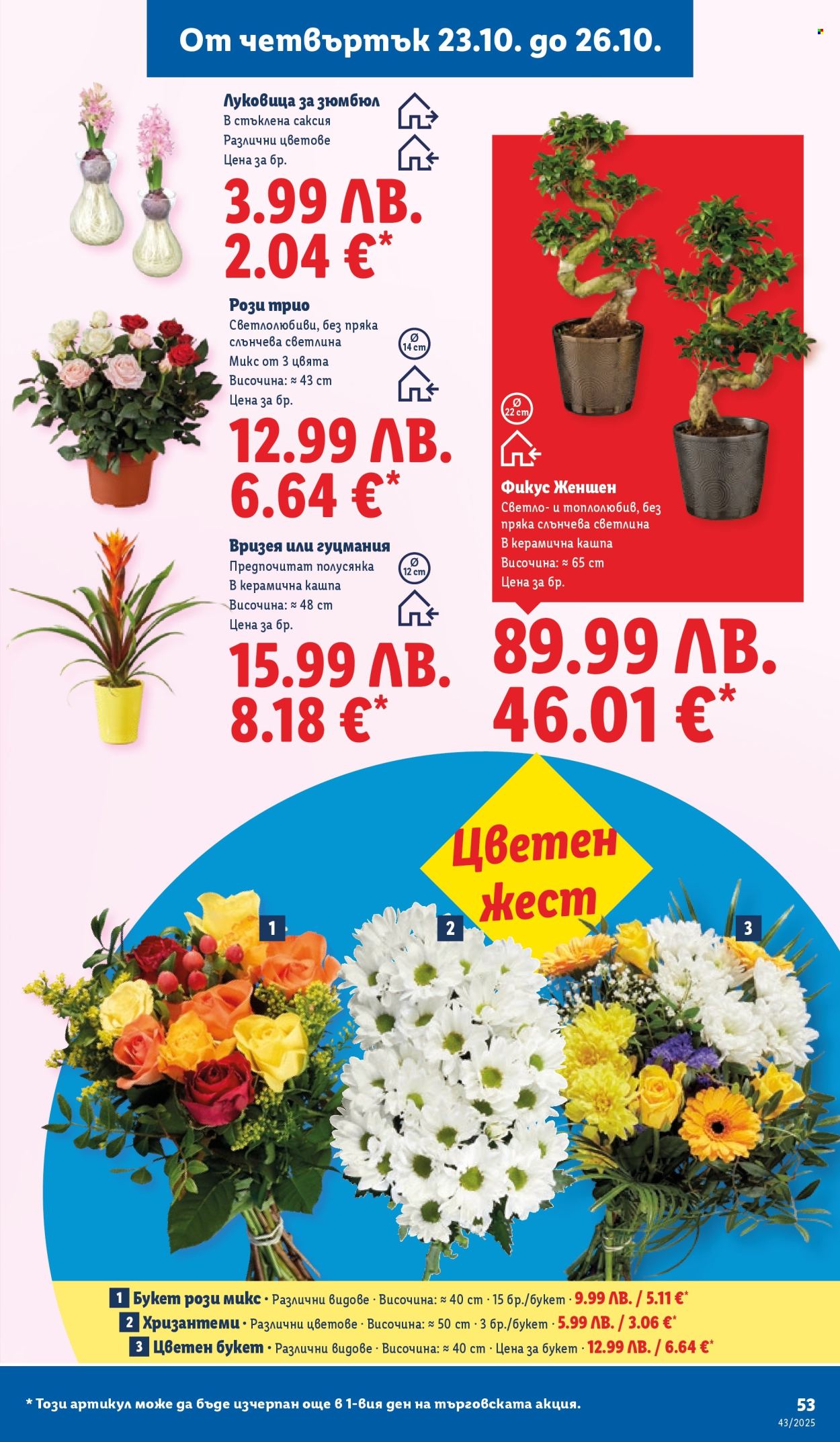 Брошура на Лидл - 20.10.2025 - 26.10.2025. Страница 53