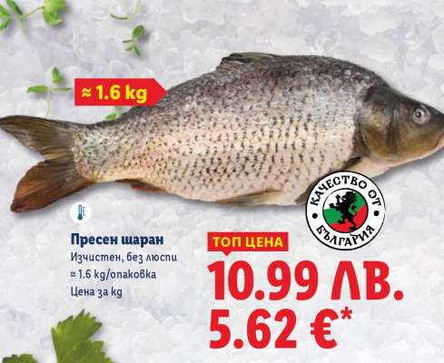 Пресен шаран