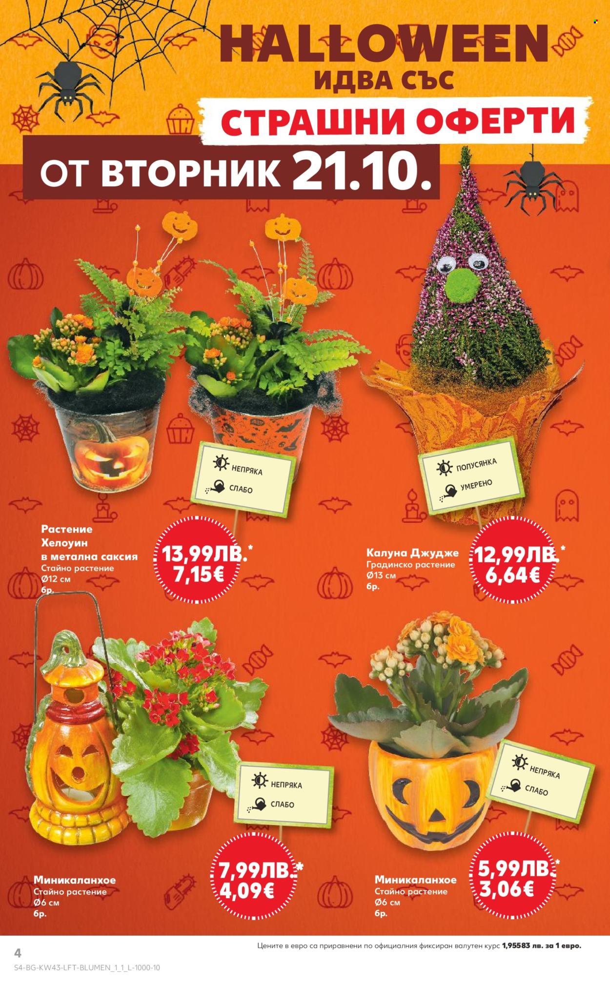 Брошура на Кауфланд - 20.10.2025 - 26.10.2025. Страница 4