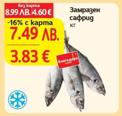 Замразен сафрид