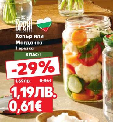 Копър или Магданоз