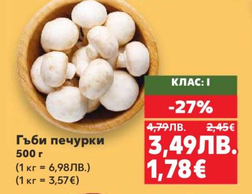 Гъби печурки