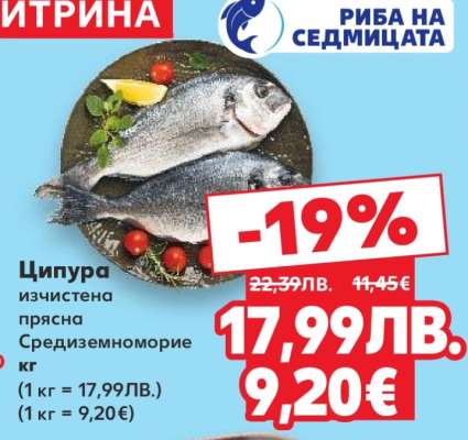 Ципура