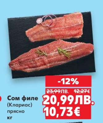Сом филе