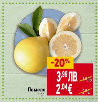 Помело