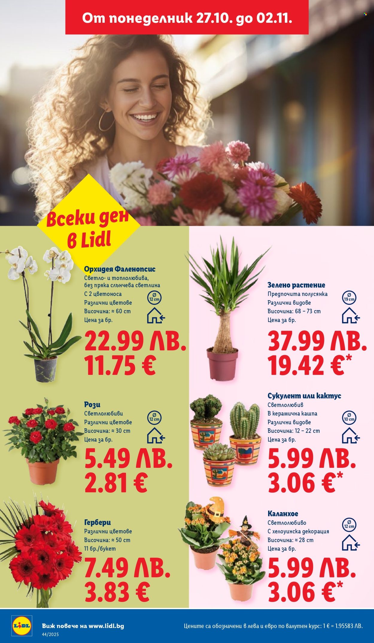 Брошура на Лидл - 27.10.2025 - 02.11.2025. Страница 50
