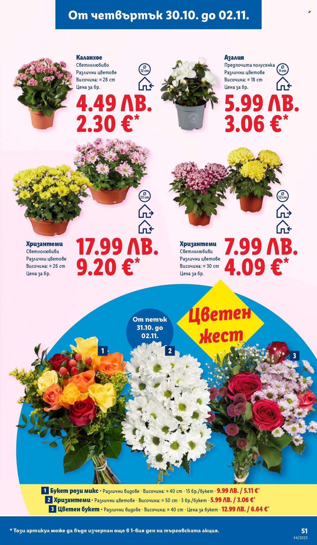 Брошура на Лидл - 27.10.2025 - 02.11.2025. Страница 51