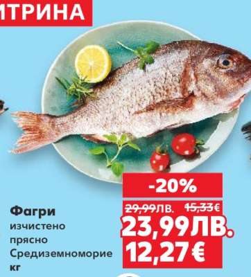 Фагри