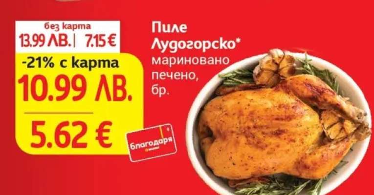 Пиле Лудогорско