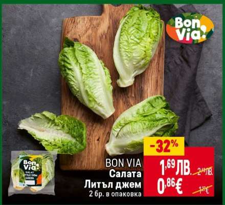 BON VIA Салата Литъл джем