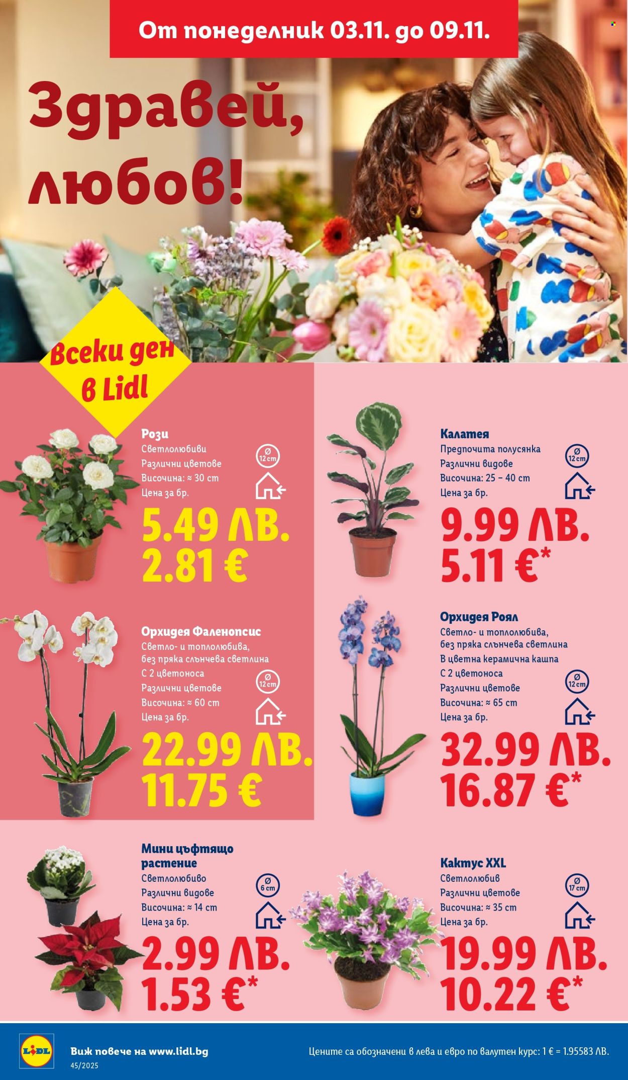 Брошура на Лидл - 03.11.2025 - 09.11.2025. Страница 48