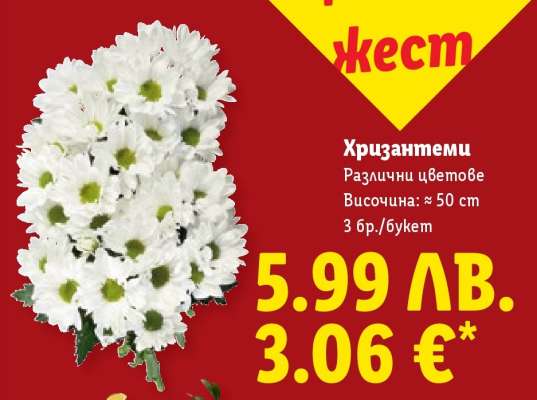 Хризантеми