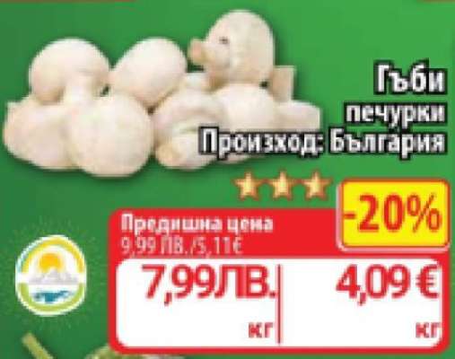 Гъби печурки