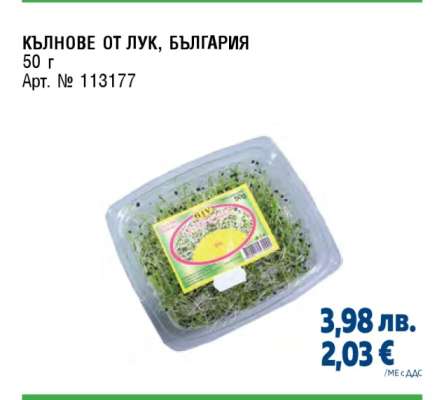 Кълнове от лук, България