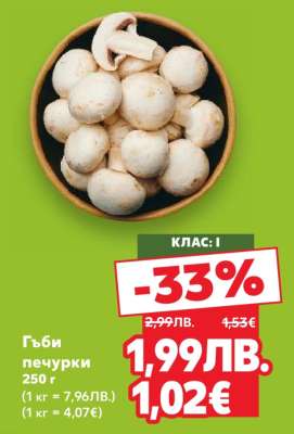 Гъби печурки