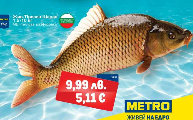 Жив/Пресен Шаран