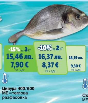 Ципура 400/600