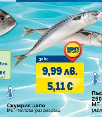 Скумрия цяла