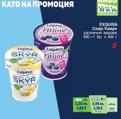 EXQUISA Скир/Кварк