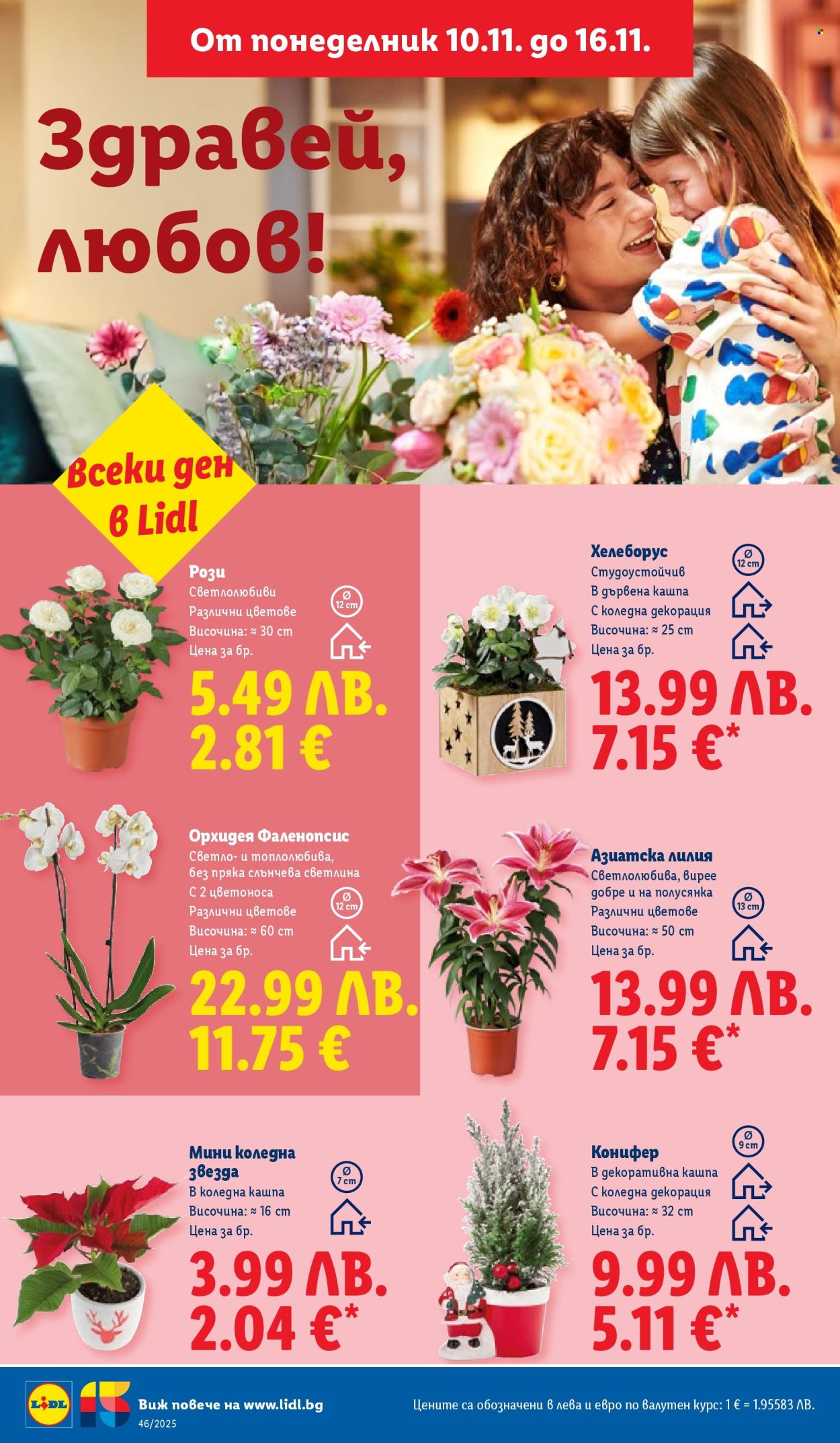 Брошура на Лидл - 10.11.2025 - 16.11.2025. Страница 54