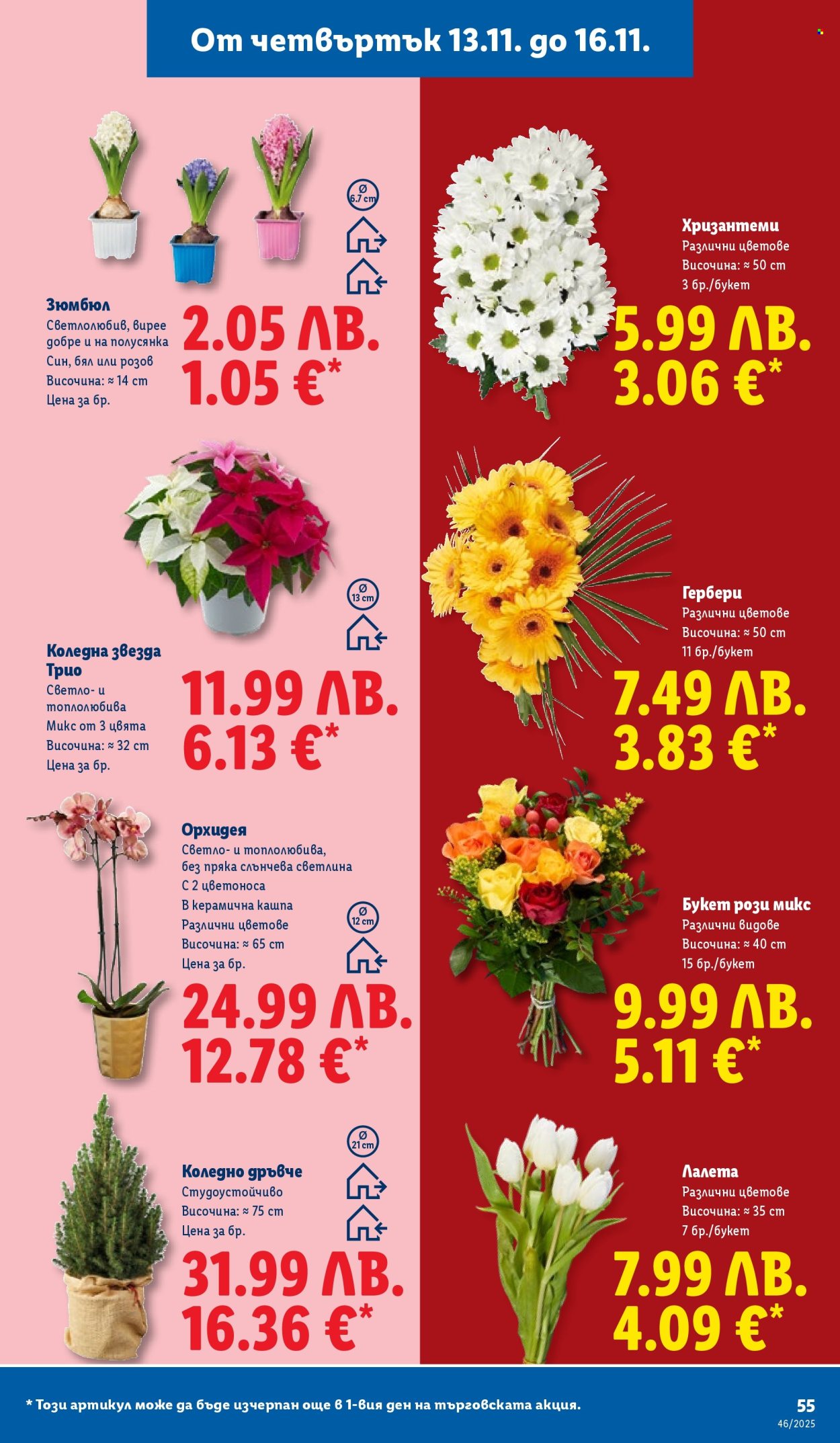 Брошура на Лидл - 10.11.2025 - 16.11.2025. Страница 55