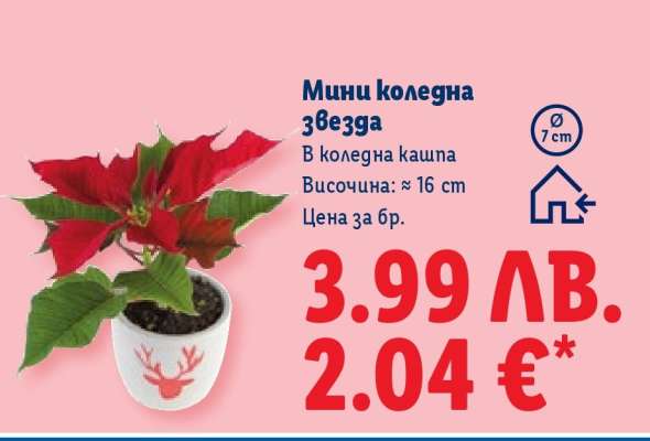 Мини коледна звезда