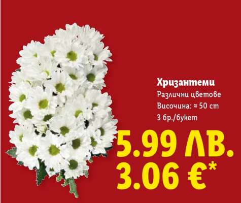 Хризантеми