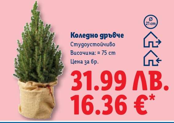 Коледно дръвче