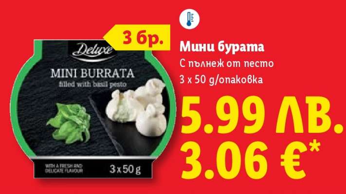 Мини бурата