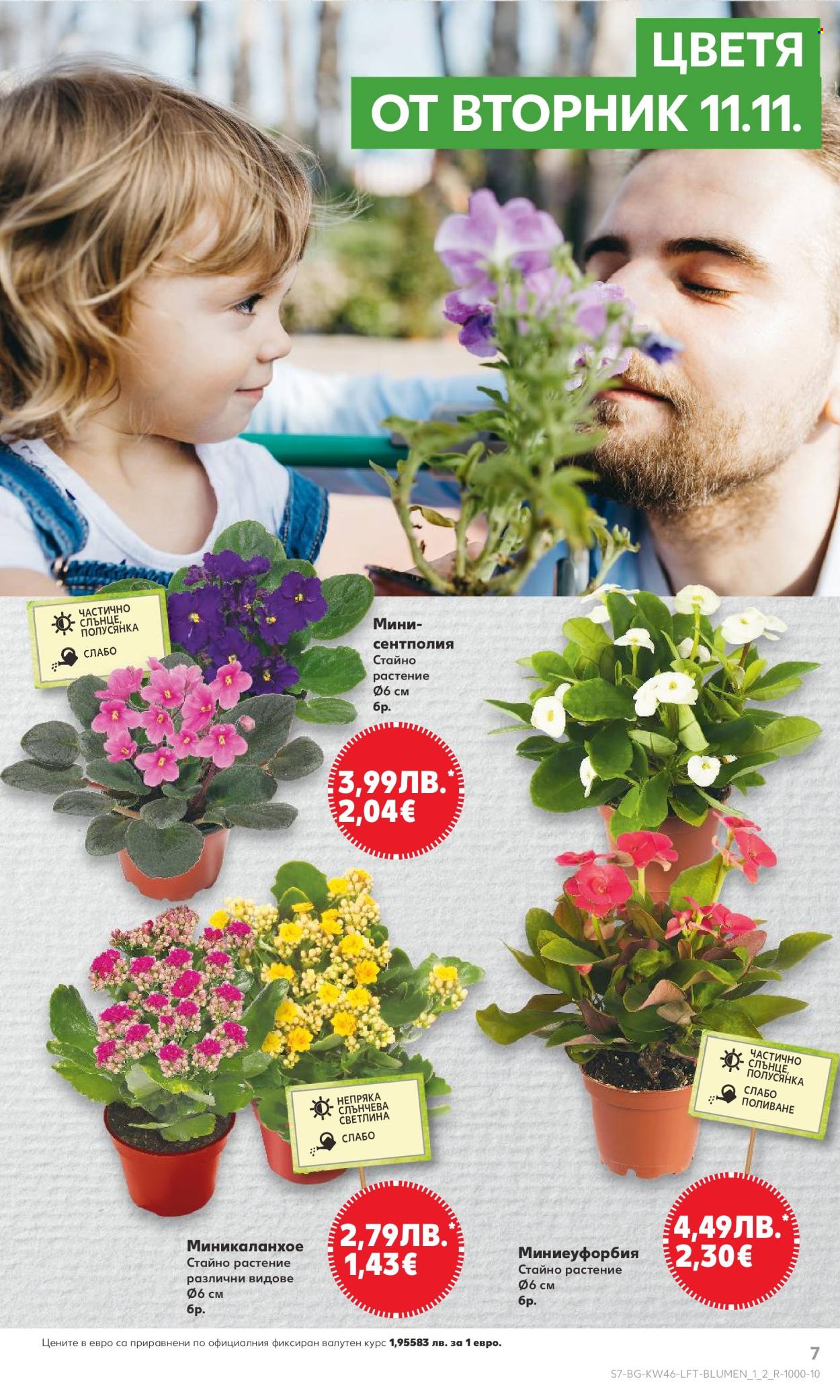 Брошура на Кауфланд - 10.11.2025 - 16.11.2025. Страница 7