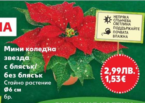 Мини коледна звезда